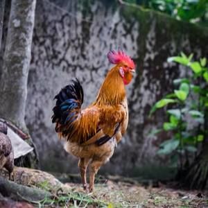 Meet your Posher, Nataly